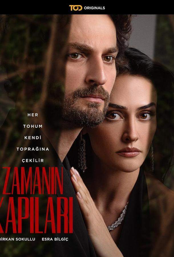 Постер сериала Врата времени